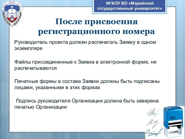 После присвоения регистрационного номера ФГБОУ ВО «Марийский государственный университет» Руководитель