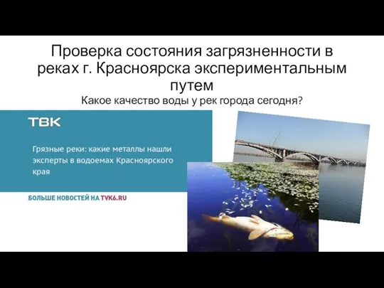 Проверка состояния загрязненности в реках г. Красноярска экспериментальным путем Какое качество воды у рек города сегодня?