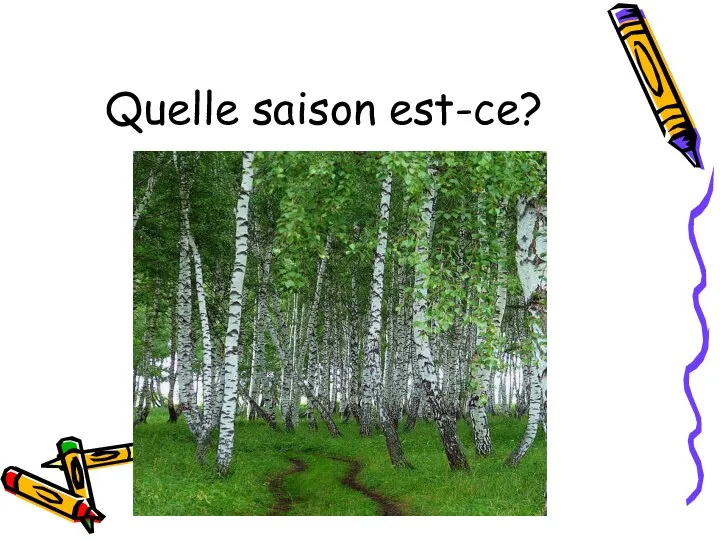 Quelle saison est-ce?