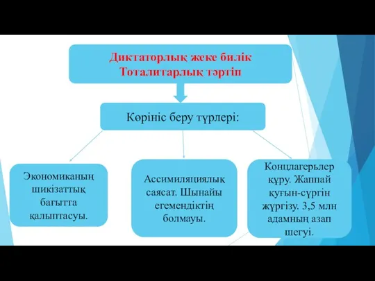 Диктаторлық жеке билік Тоталитарлық тәртіп Көрініс беру түрлері: Экономиканың шикізаттық