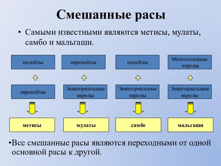 Смешанные расы Самыми известными являются метисы, мулаты, самбо и мальгаши.