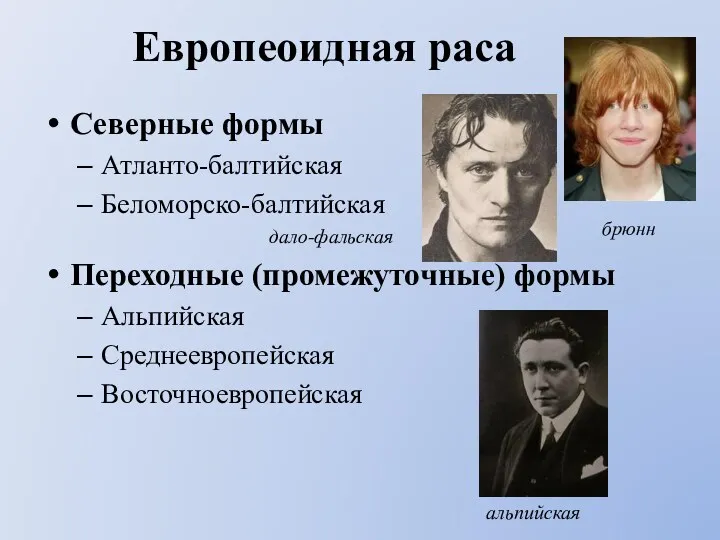 Европеоидная раса Северные формы Атланто-балтийская Беломорско-балтийская дало-фальская Переходные (промежуточные) формы Альпийская Среднеевропейская Восточноевропейская брюнн альпийская