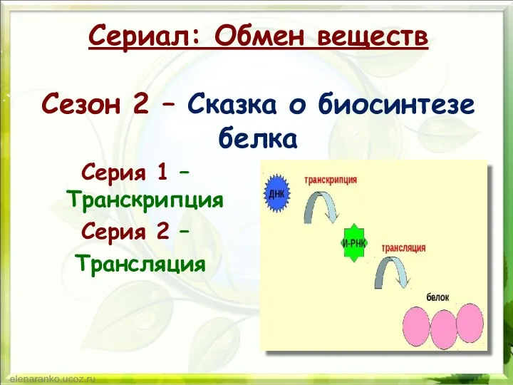 Сериал: Обмен веществ Сезон 2 – Сказка о биосинтезе белка