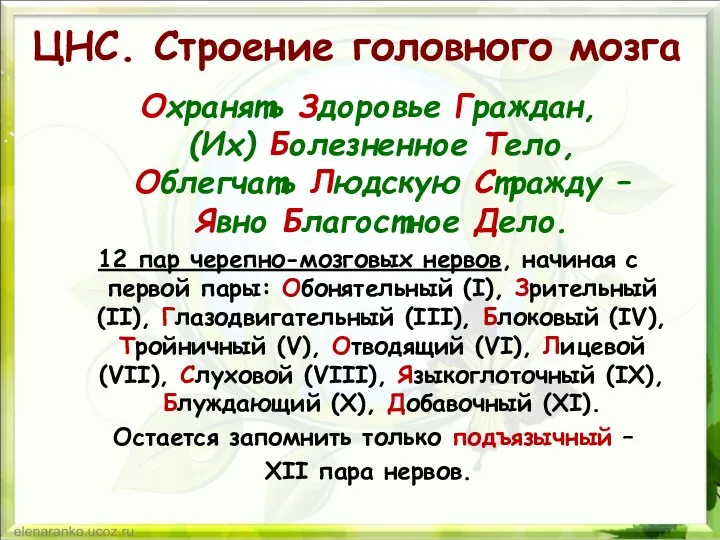 ЦНС. Строение головного мозга Охранять Здоровье Граждан, (Их) Болезненное Тело,