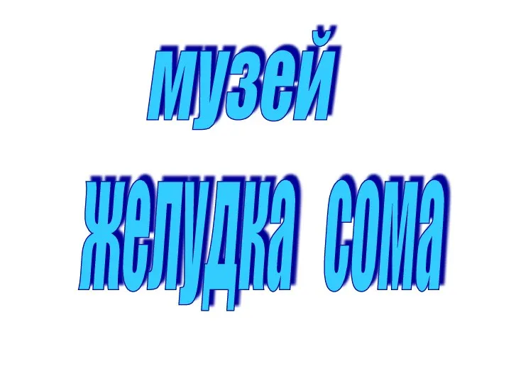 музей желудка сома