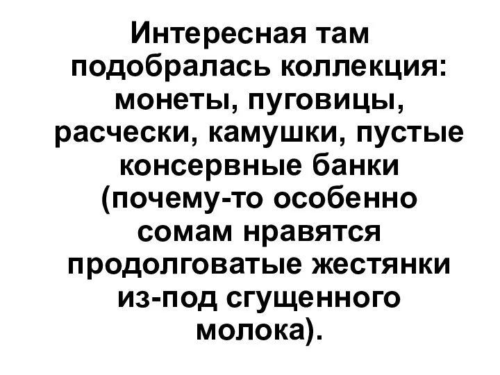 Интересная там подобралась коллекция: монеты, пуговицы, расчески, камушки, пустые консервные