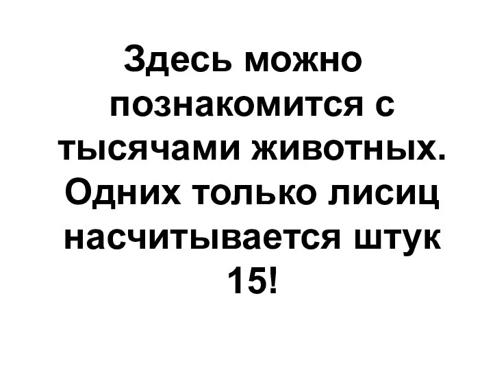 Здесь можно познакомится с тысячами животных. Одних только лисиц насчитывается штук 15!