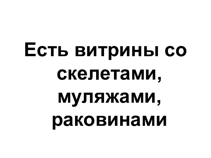 Есть витрины со скелетами, муляжами, раковинами