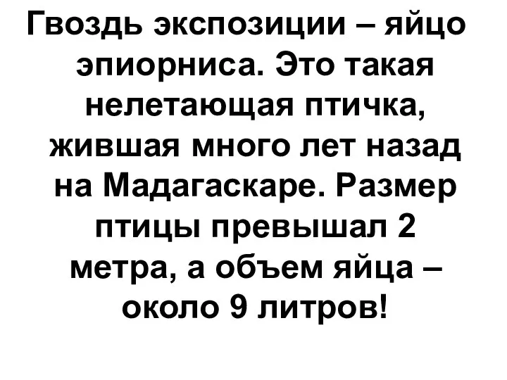 Гвоздь экспозиции – яйцо эпиорниса. Это такая нелетающая птичка, жившая