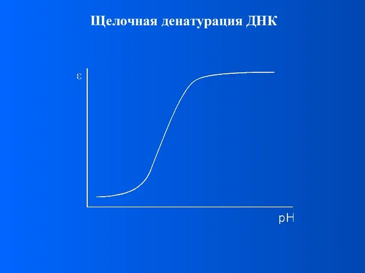 Щелочная денатурация ДНК