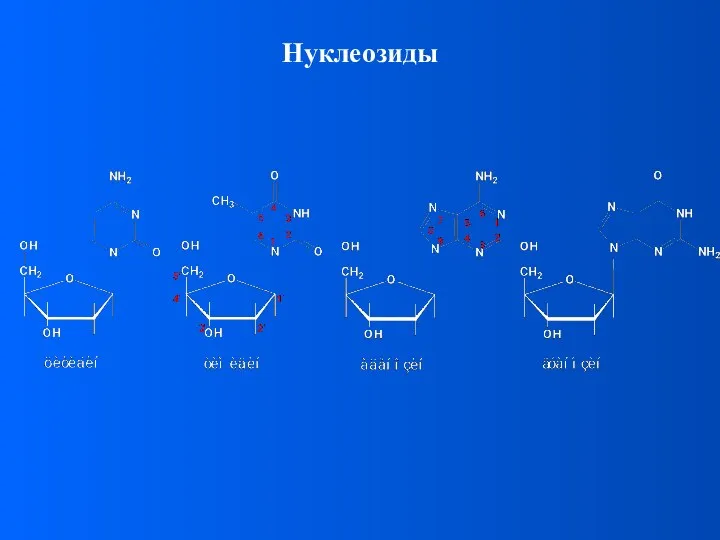 Нуклеозиды