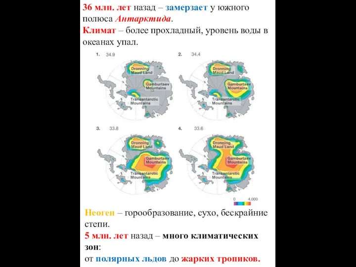 Неоген – горообразование, сухо, бескрайние степи. 5 млн. лет назад