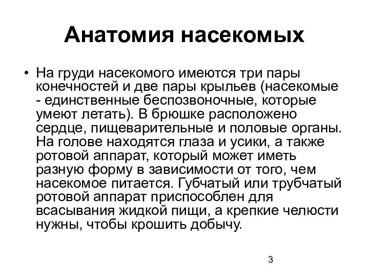 Анатомия насекомых На груди насекомого имеются три пары конечностей и