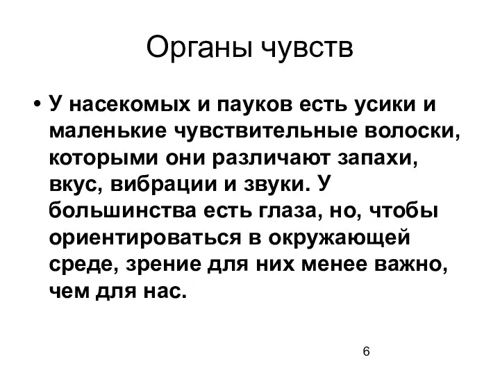 Органы чувств У насекомых и пауков есть усики и маленькие