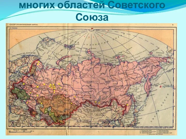 В поселок Дивья приезжали из многих областей Советского Союза