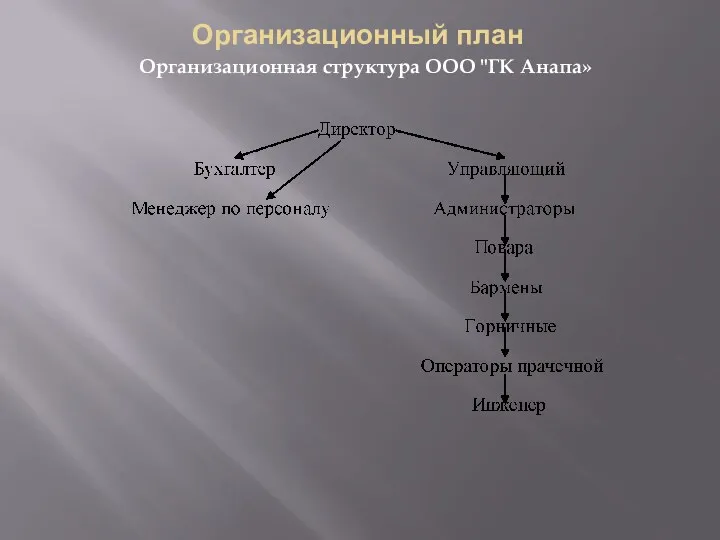 Организационный план Организационная структура ООО "ГК Анапа»