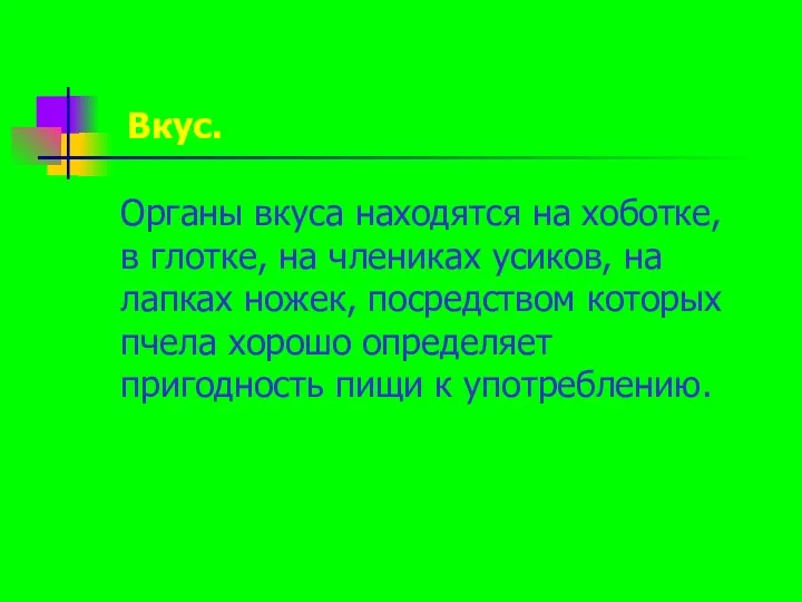 Вкус. Органы вкуса находятся на хоботке, в глотке, на члениках