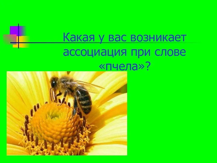 Какая у вас возникает ассоциация при слове «пчела»?