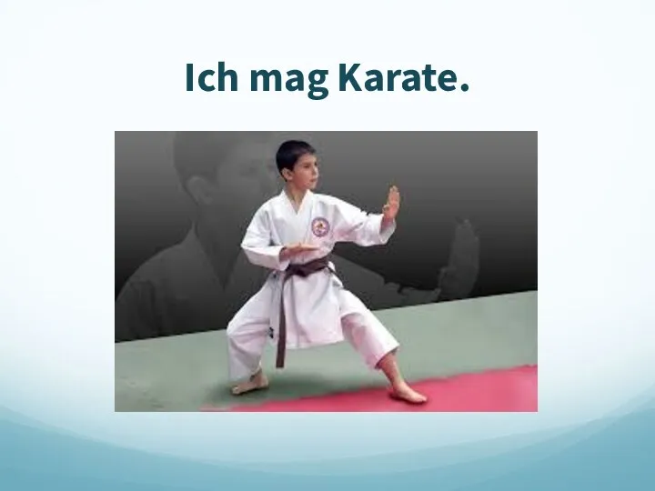 Ich mag Karate.