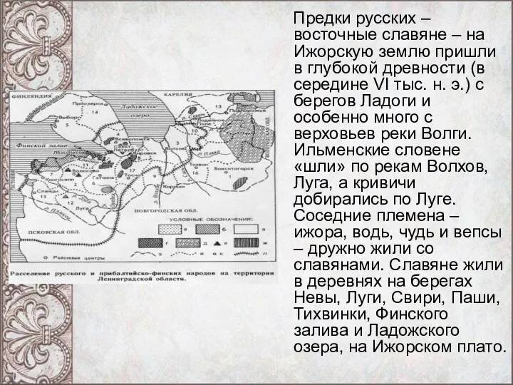 Предки русских – восточные славяне – на Ижорскую землю пришли