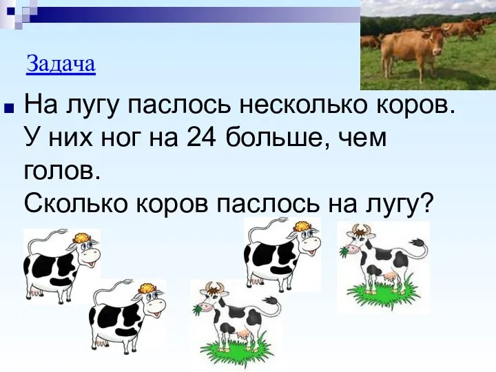 На лугу паслось несколько коров. У них ног на 24