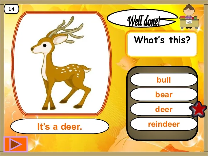 deer Well done! It’s a deer. 14 bear bull reindeer What’s this?