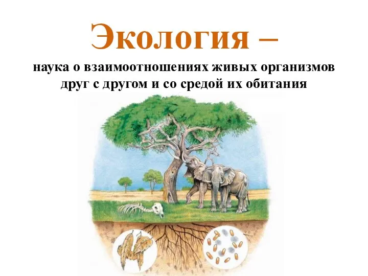 Экология – наука о взаимоотношениях живых организмов друг с другом и со средой их обитания