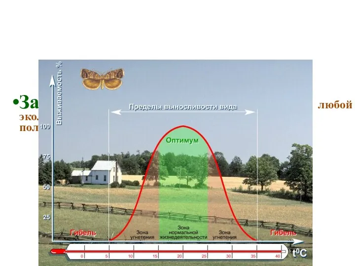 Закон оптимума – любой экологический фактор имеет определенные пределы положительного воздействия на живые организмы