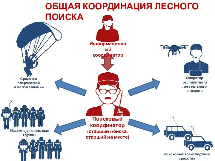 ОБЩАЯ КООРДИНАЦИЯ ЛЕСНОГО ПОИСКА