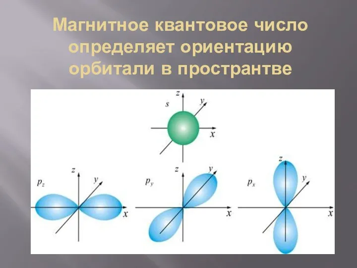 Магнитное квантовое число определяет ориентацию орбитали в пространтве