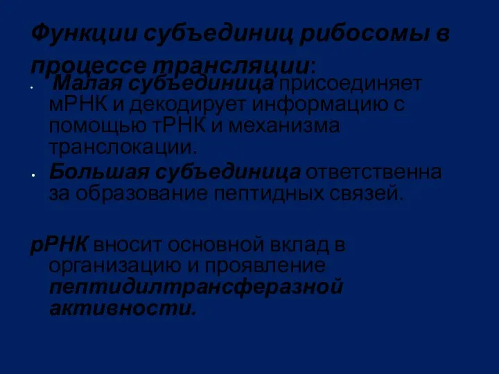 Функции субъединиц рибосомы в процессе трансляции: Малая субъединица присоединяет мРНК