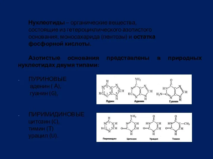 Нуклеотиды – органические вещества, состоящие из гетероциклического азотистого основания, моносахарида (пентозы) и остатка