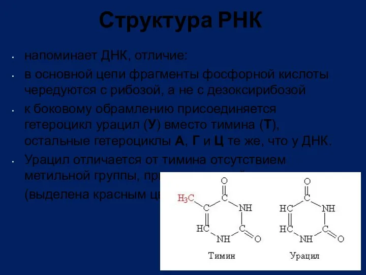 Структура РНК напоминает ДНК, отличие: в основной цепи фрагменты фосфорной