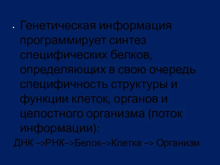 Генетическая информация программирует синтез специфических белков, определяющих в свою очередь