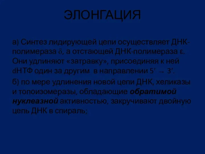 ЭЛОНГАЦИЯ а) Синтез лидирующей цепи осуществляет ДНК-полимераза δ, а отстающей