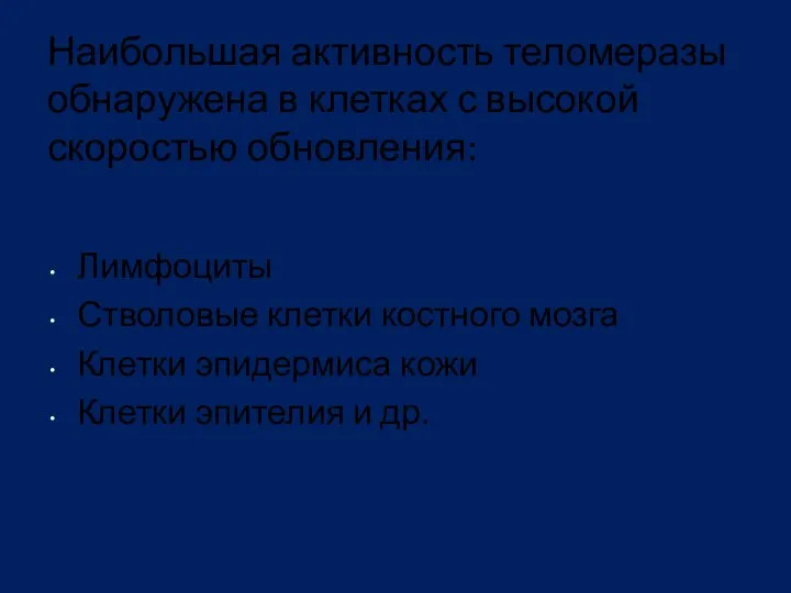 Наибольшая активность теломеразы обнаружена в клетках с высокой скоростью обновления: