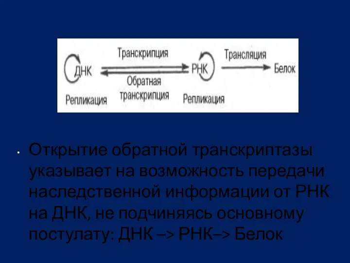 Открытие обратной транскриптазы указывает на возможность передачи наследственной информации от