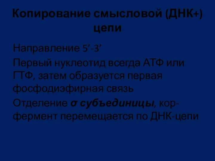 Копирование смысловой (ДНК+) цепи Направление 5’-3’ Первый нуклеотид всегда АТФ