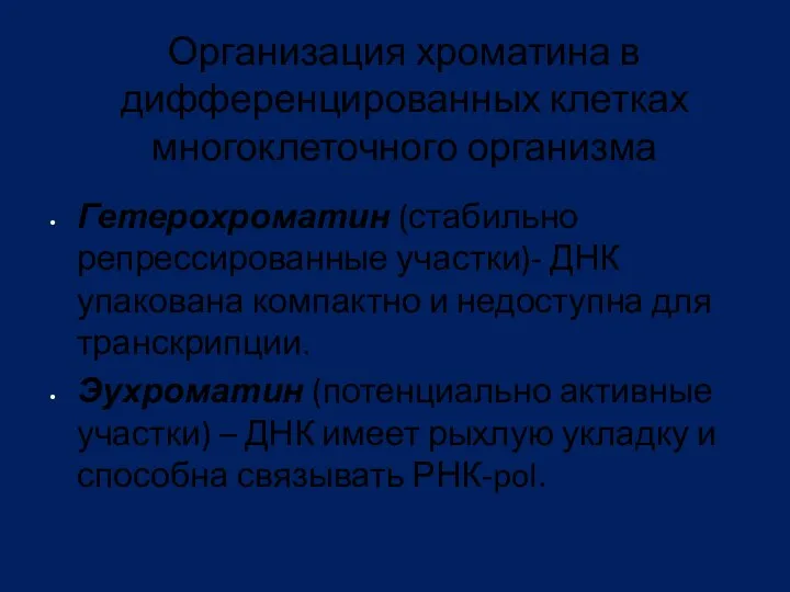 Организация хроматина в дифференцированных клетках многоклеточного организма Гетерохроматин (стабильно репрессированные