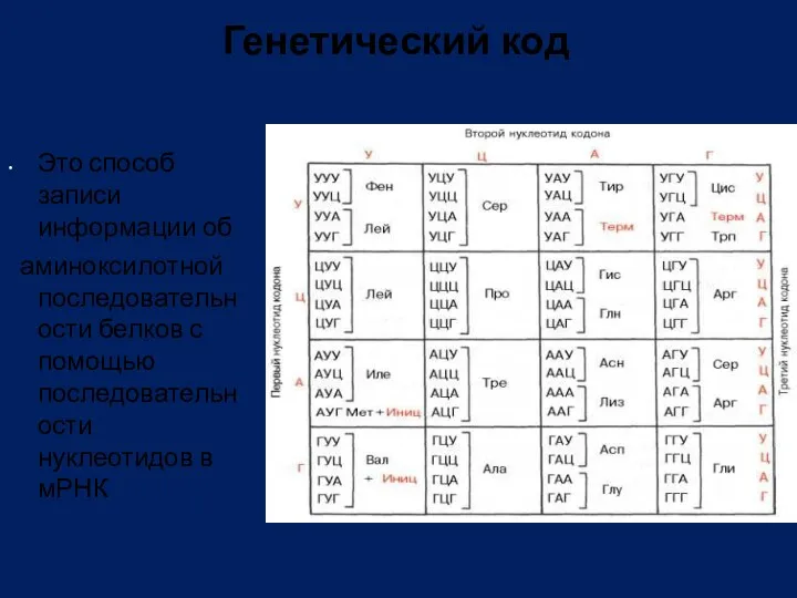 Это способ записи информации об аминоксилотной последовательности белков с помощью последовательности нуклеотидов в мРНК Генетический код