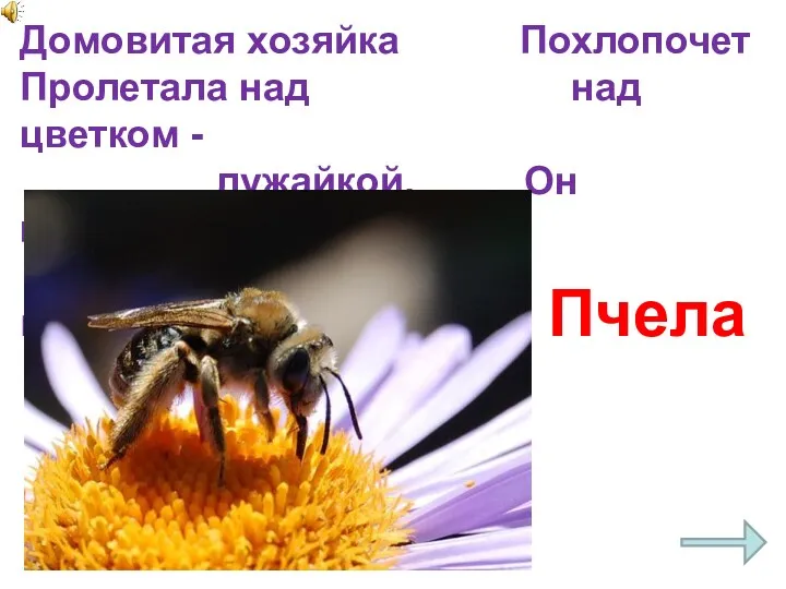 Домовитая хозяйка Похлопочет Пролетала над над цветком - лужайкой, Он поделится медком. Пчела