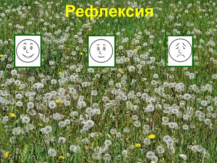 Рефлексия