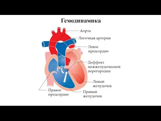 Гемодинамика