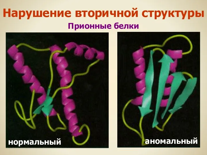 Прионные белки нормальный аномальный Нарушение вторичной структуры