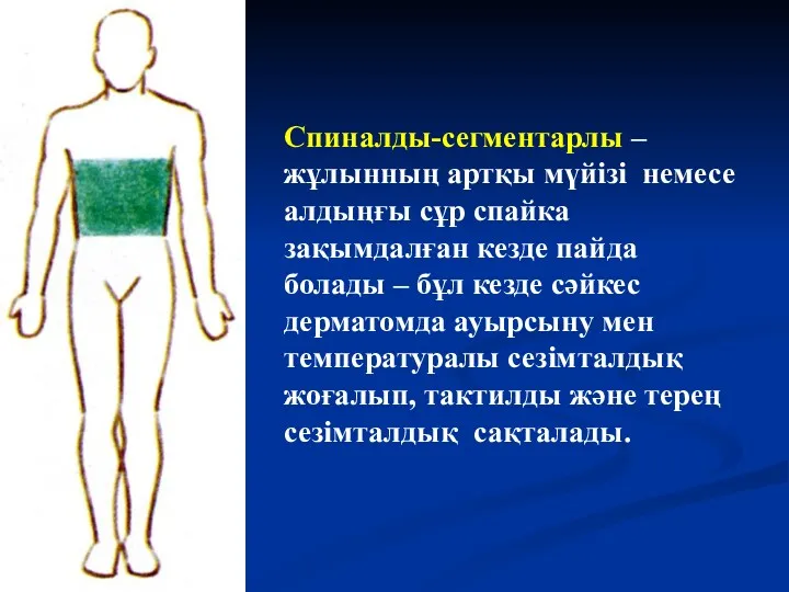 Спиналды-сегментарлы – жұлынның артқы мүйізі немесе алдыңғы сұр спайка зақымдалған