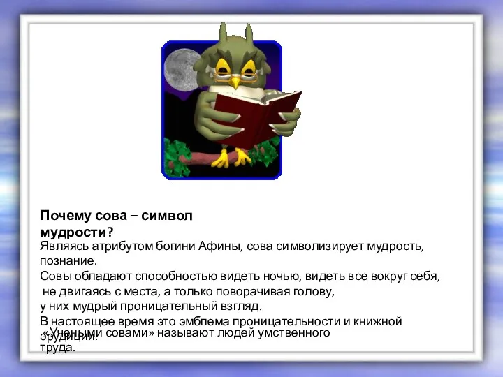 «Учеными совами» называют людей умственного труда. Почему сова – символ