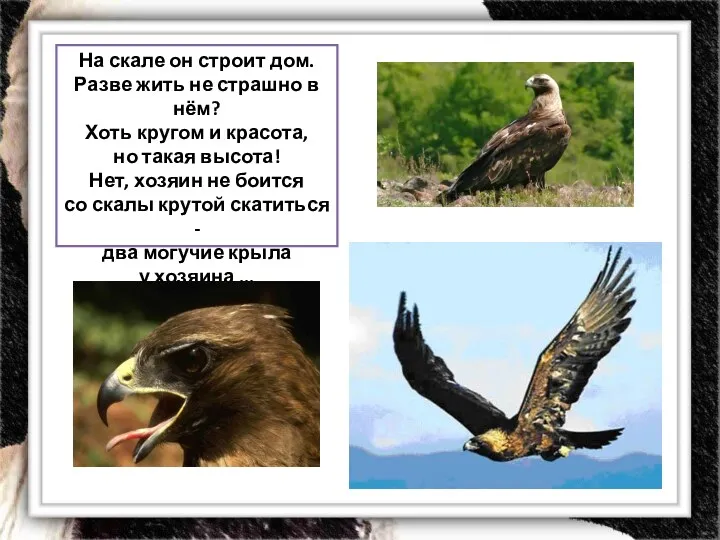 На скале он строит дом. Разве жить не страшно в