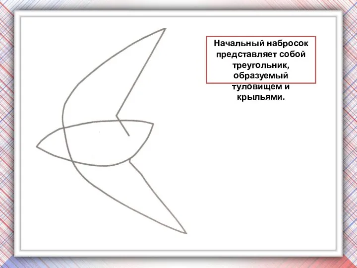 Начальный набросок представляет собой треугольник, образуемый туловищем и крыльями.