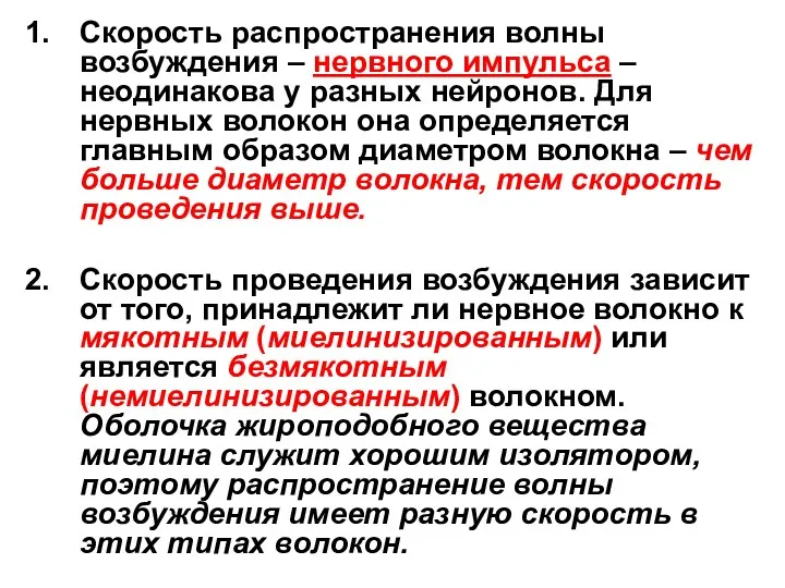 Скорость распространения волны возбуждения – нервного импульса – неодинакова у