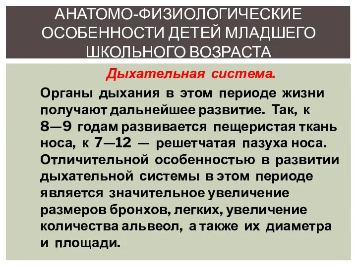 Дыхательная система. Органы дыхания в этом периоде жизни получают дальнейшее